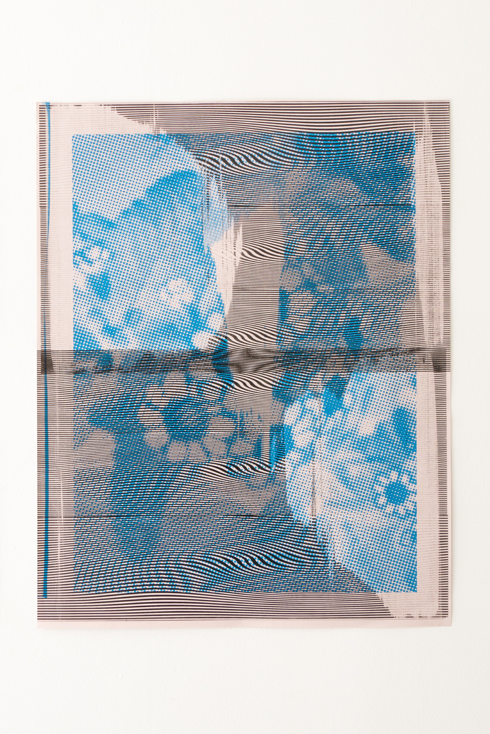 bluet flower — Charlotte Houette, Artiste